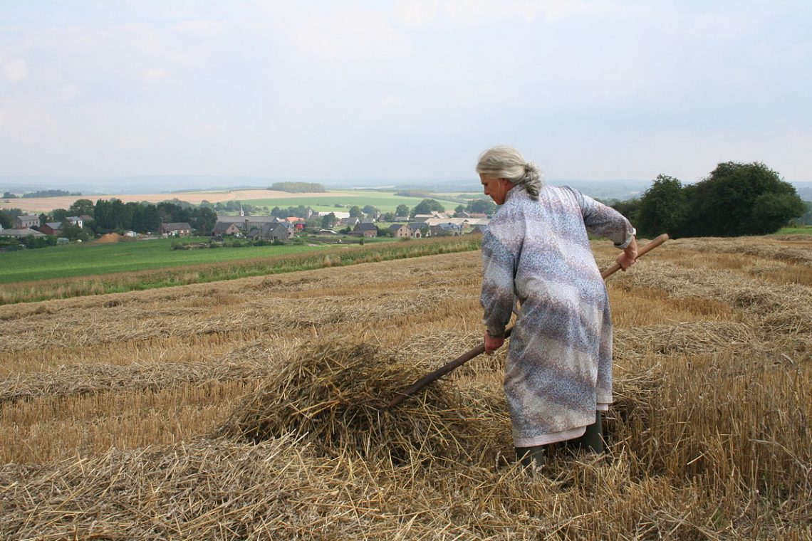 L’agriculture vécue par les agriculteurs aujourd’hui et depuis quelques années
