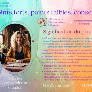CARTO – Points forts, points faibles, conseils (3 cartes: comprendre une situation)